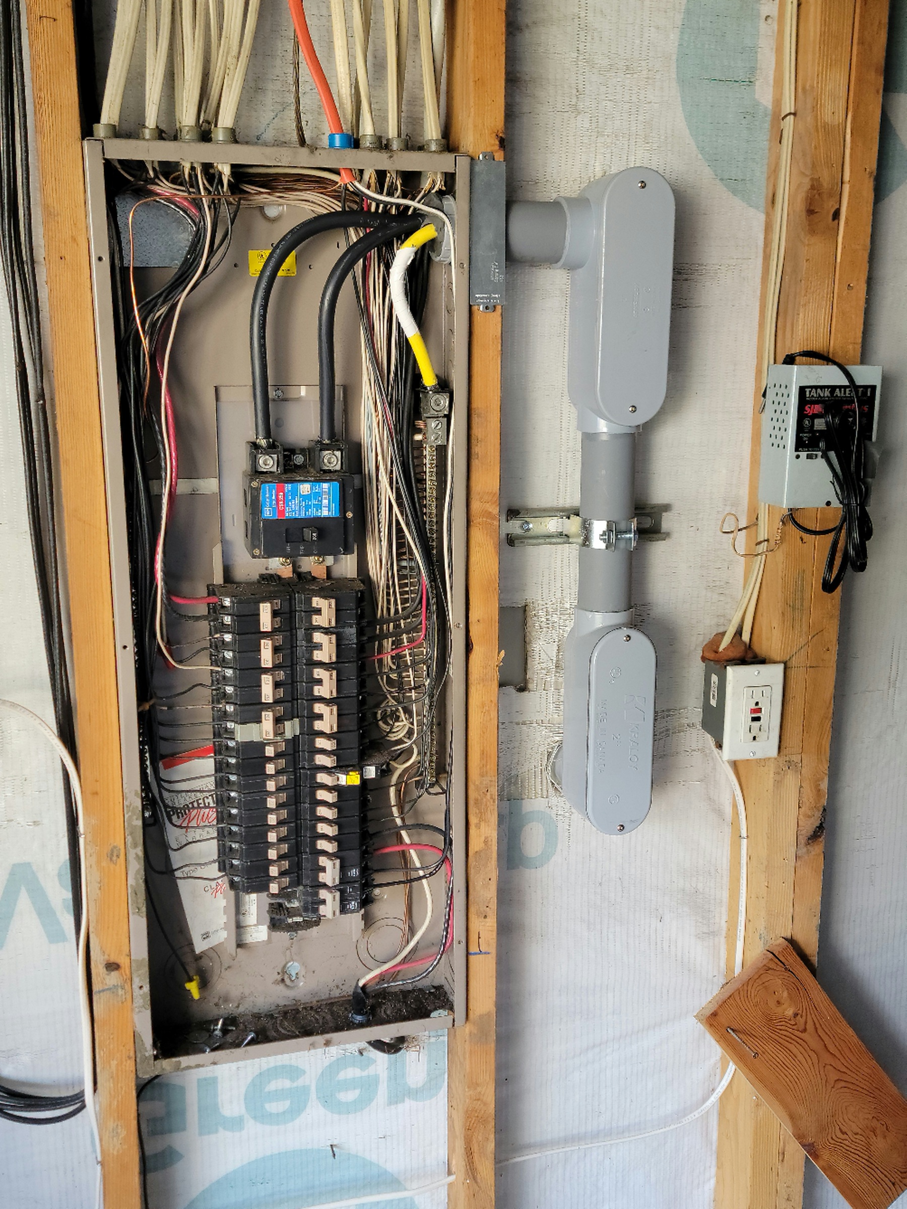 Panel with whole home surge protector whole-home surge protector