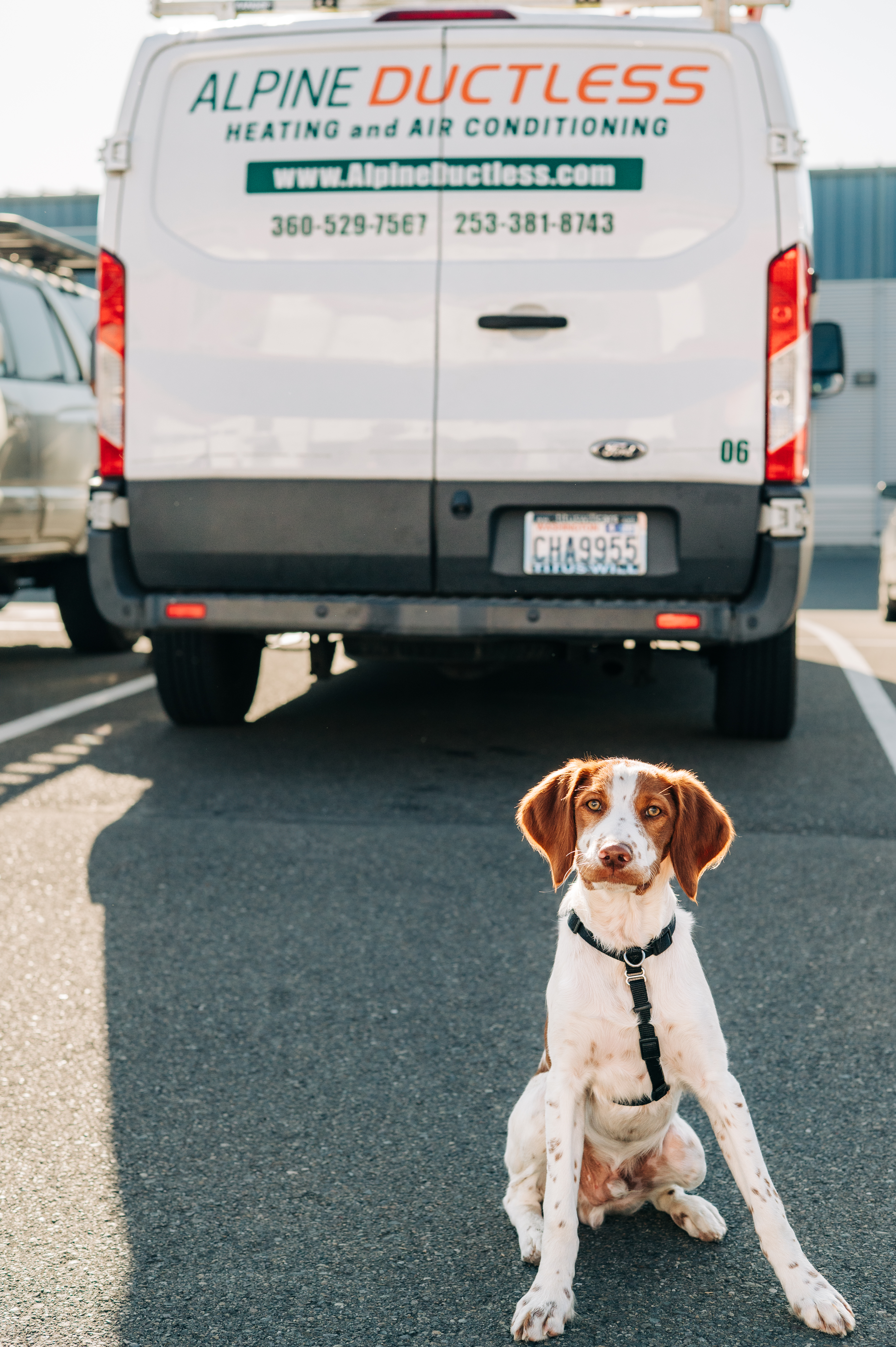 Olly at Alpine Ductless Heating and air conditioning Olly at Alpine Ductless Heating and air conditioning